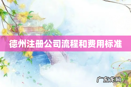 德州注册公司流程和费用标准