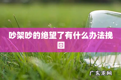 吵架吵的绝望了有什么办法挽回