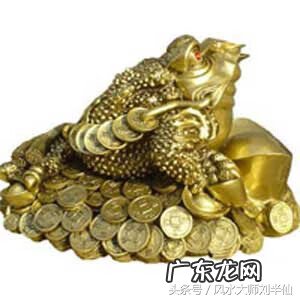 霸王龙和狮子哪个厉害 龙和狮子:在风水里面的作用