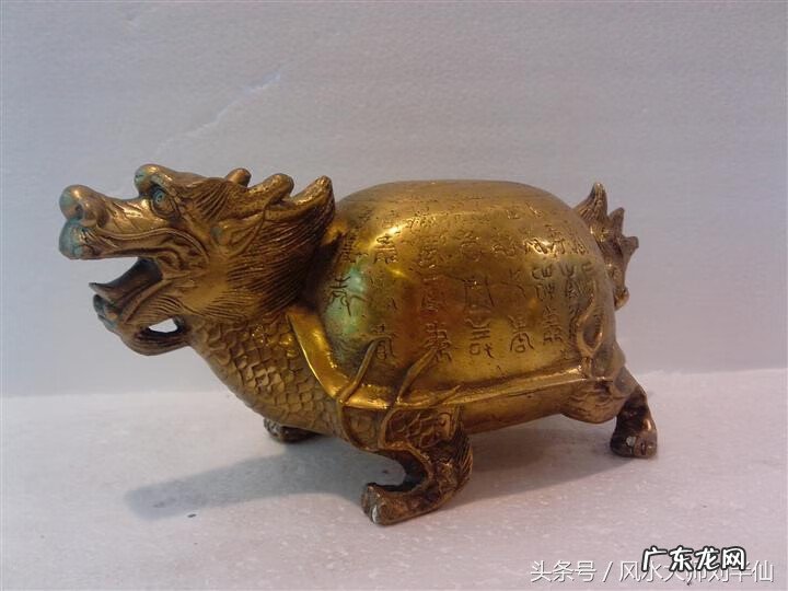 霸王龙和狮子哪个厉害 龙和狮子:在风水里面的作用