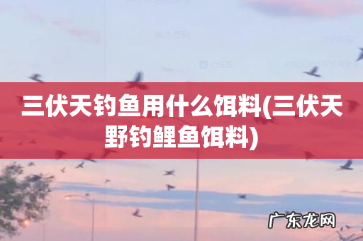 三伏天野钓鲤鱼饵料 三伏天钓鱼用什么饵料