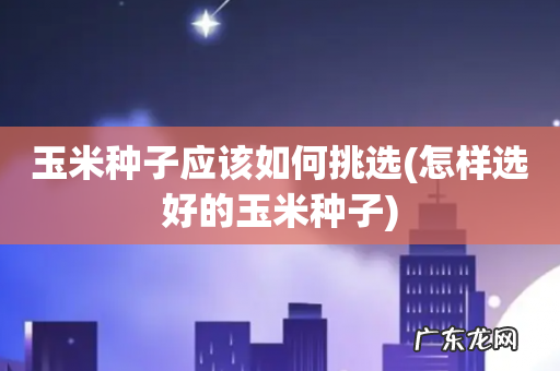 怎样选好的玉米种子 玉米种子应该如何挑选