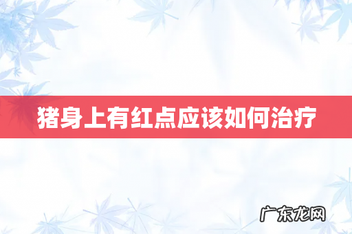 猪身上有红点应该如何治疗