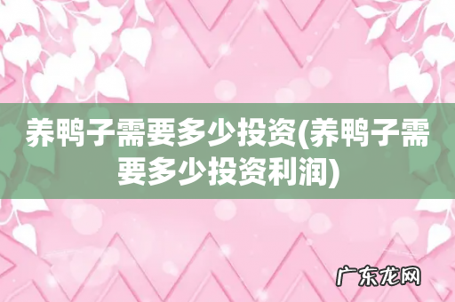养鸭子需要多少投资利润 养鸭子需要多少投资