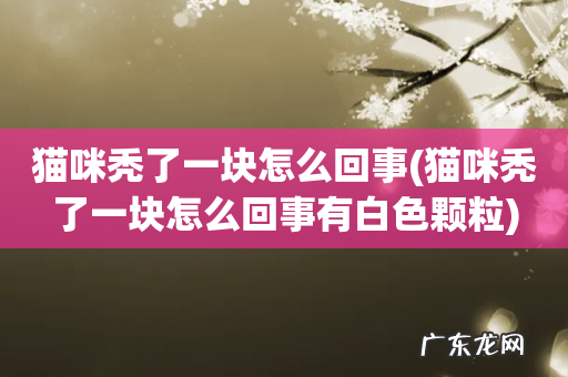 猫咪秃了一块怎么回事有白色颗粒 猫咪秃了一块怎么回事
