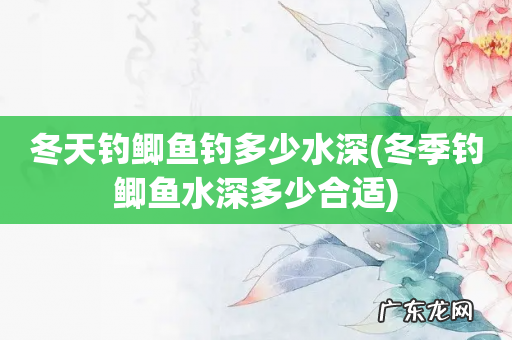 冬季钓鲫鱼水深多少合适 冬天钓鲫鱼钓多少水深
