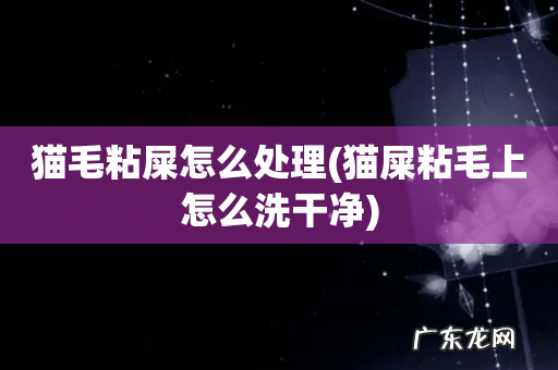 猫屎粘毛上怎么洗干净 猫毛粘屎怎么处理