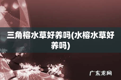 水榕水草好养吗 三角榕水草好养吗