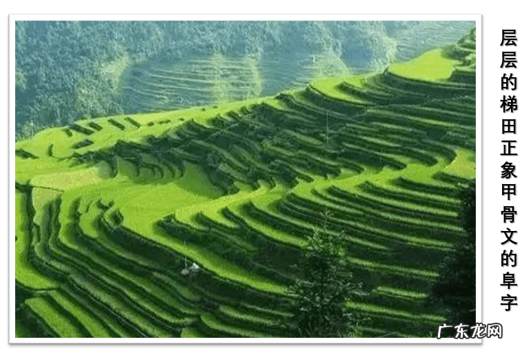 右耳旁左耳旁 左耳旁右耳旁风水