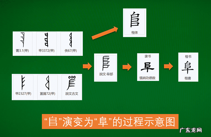 右耳旁左耳旁 左耳旁右耳旁风水