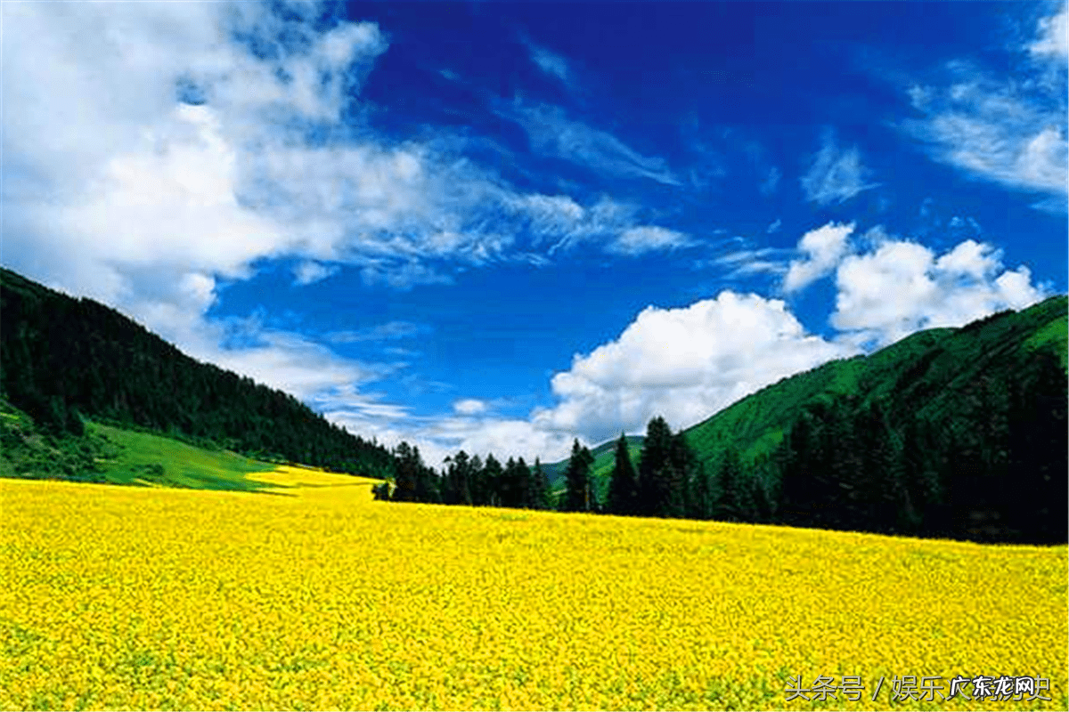 房子南面有高楼挡着风水好吗 南面高楼挡风水吗