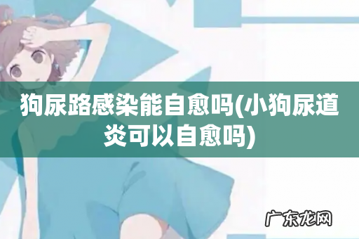 小狗尿道炎可以自愈吗 狗尿路感染能自愈吗