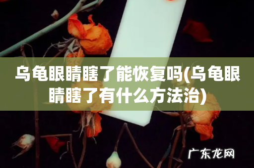 乌龟眼睛瞎了有什么方法治 乌龟眼睛瞎了能恢复吗