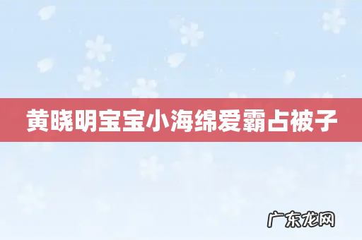 黄晓明宝宝小海绵爱霸占被子