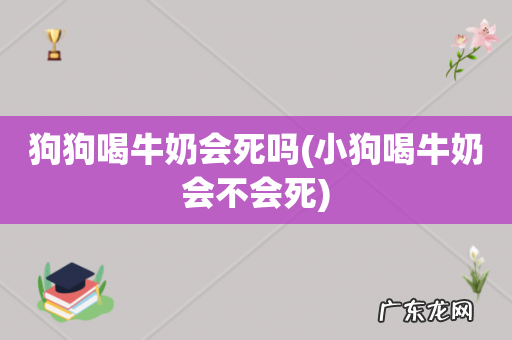 小狗喝牛奶会不会死 狗狗喝牛奶会死吗