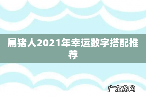 属猪人2021年幸运数字搭配推荐
