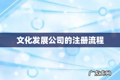 文化发展公司的注册流程