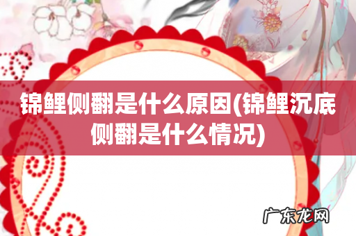 锦鲤沉底侧翻是什么情况 锦鲤侧翻是什么原因