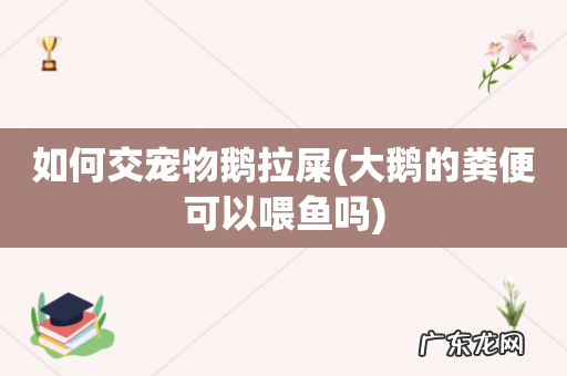 大鹅的粪便可以喂鱼吗 如何交宠物鹅拉屎
