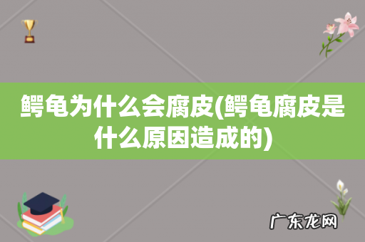 鳄龟腐皮是什么原因造成的 鳄龟为什么会腐皮