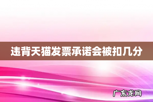 违背天猫发票承诺会被扣几分