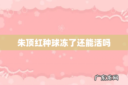 朱顶红种球冻了还能活吗