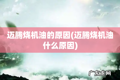 迈腾烧机油什么原因 迈腾烧机油的原因