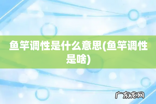 鱼竿调性是啥 鱼竿调性是什么意思