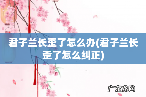 君子兰长歪了怎么纠正 君子兰长歪了怎么办