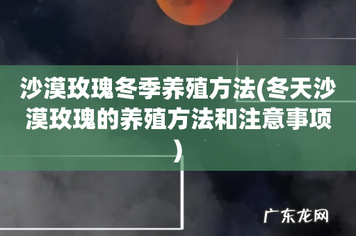 冬天沙漠玫瑰的养殖方法和注意事项 沙漠玫瑰冬季养殖方法
