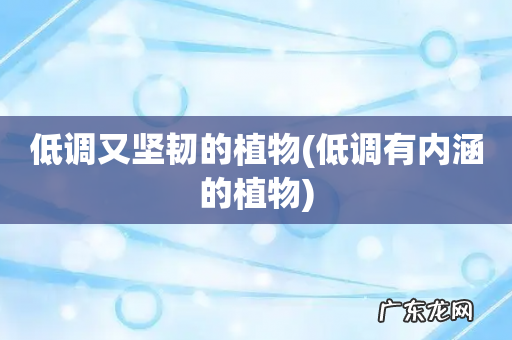 低调有内涵的植物 低调又坚韧的植物