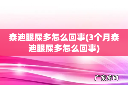 3个月泰迪眼屎多怎么回事 泰迪眼屎多怎么回事