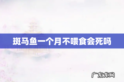 斑马鱼一个月不喂食会死吗