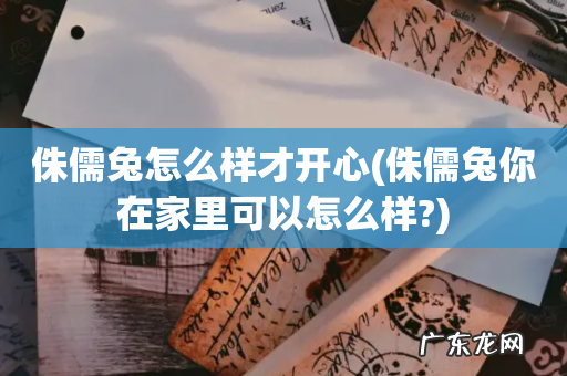 侏儒兔你在家里可以怎么样? 侏儒兔怎么样才开心