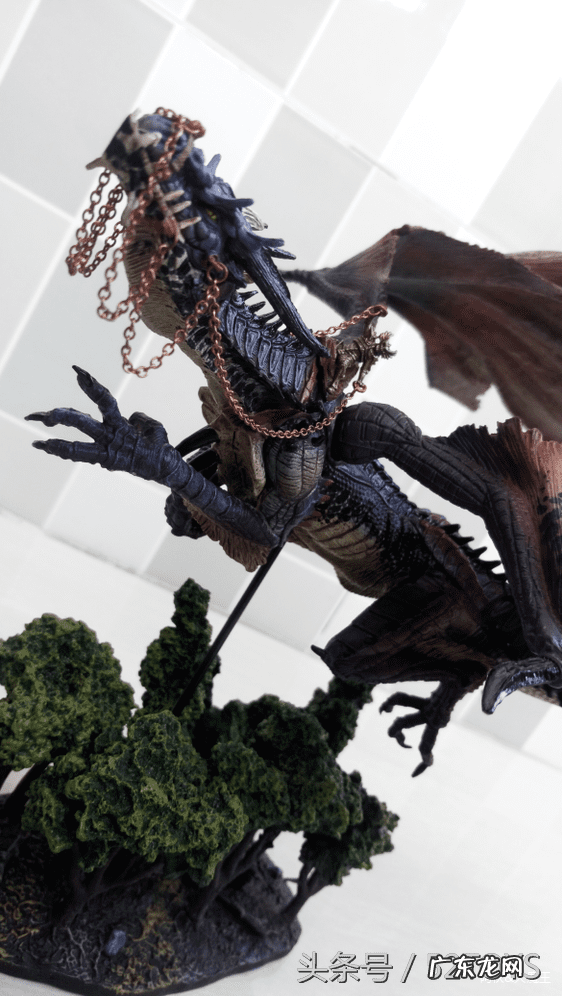 银龙国度 我的世界龙之国度