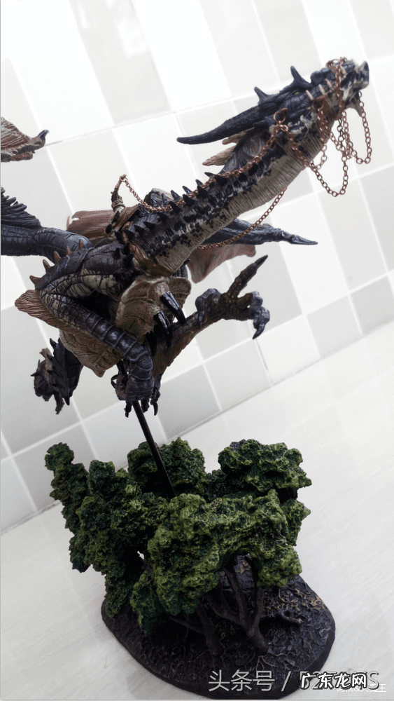 银龙国度 我的世界龙之国度