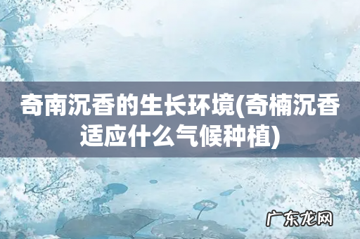 奇楠沉香适应什么气候种植 奇南沉香的生长环境