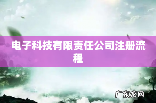 电子科技有限责任公司注册流程