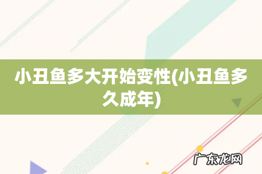 小丑鱼多久成年 小丑鱼多大开始变性