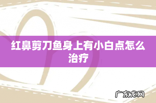 红鼻剪刀鱼身上有小白点怎么治疗