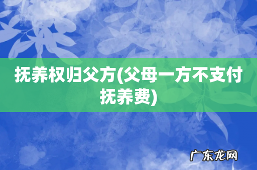 父母一方不支付抚养费 抚养权归父方