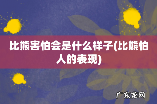 比熊怕人的表现 比熊害怕会是什么样子