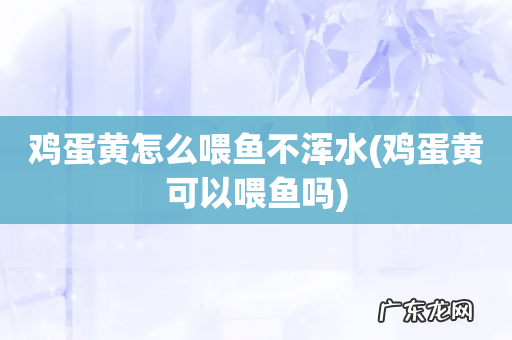 鸡蛋黄可以喂鱼吗 鸡蛋黄怎么喂鱼不浑水