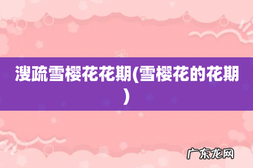 雪樱花的花期 溲疏雪樱花花期