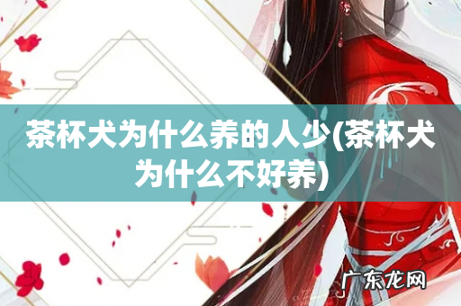 茶杯犬为什么不好养 茶杯犬为什么养的人少