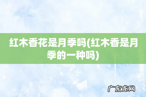 红木香是月季的一种吗 红木香花是月季吗