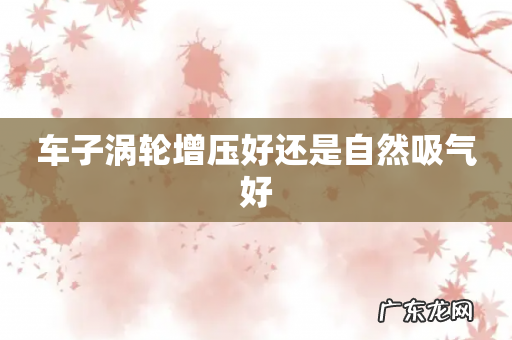 车子涡轮增压好还是自然吸气好