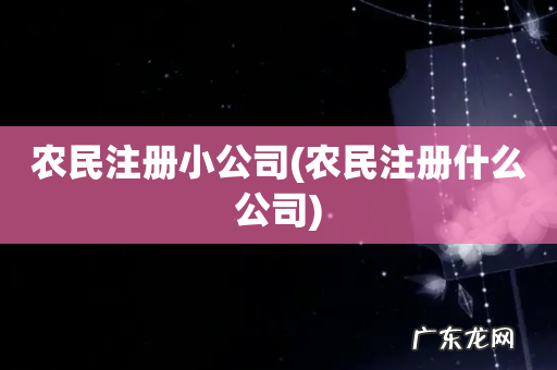 农民注册什么公司 农民注册小公司