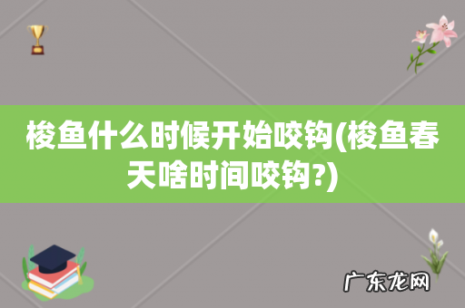 梭鱼春天啥时间咬钩? 梭鱼什么时候开始咬钩