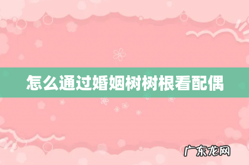 怎么通过婚姻树树根看配偶